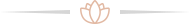 imgi_9_section-heading-separetor